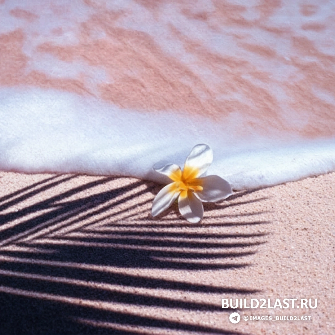 ������������ ��������� � ������� ������ �� ��������� ��������