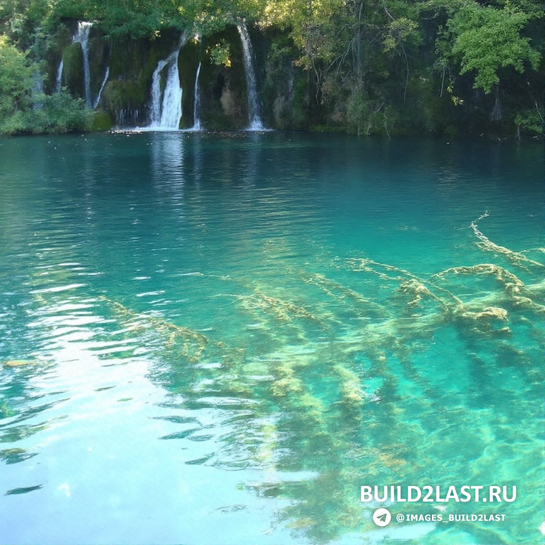 ��������, ��� � ����, ���������� ����� � ���������� ������ ��������.